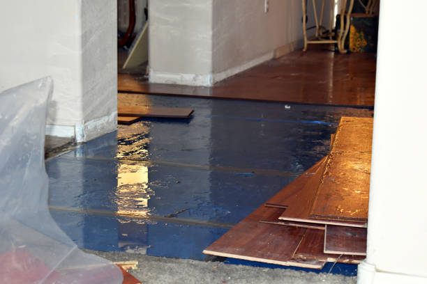 Professional Basement Water Removal technician working in Flint Hill, MO